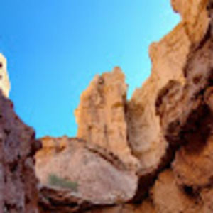 Meet your Posher, Aurora